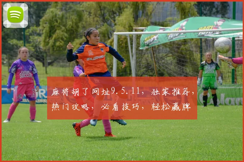 麻将胡了网址9.5.11，独家推荐，热门攻略，必看技巧，轻松赢牌