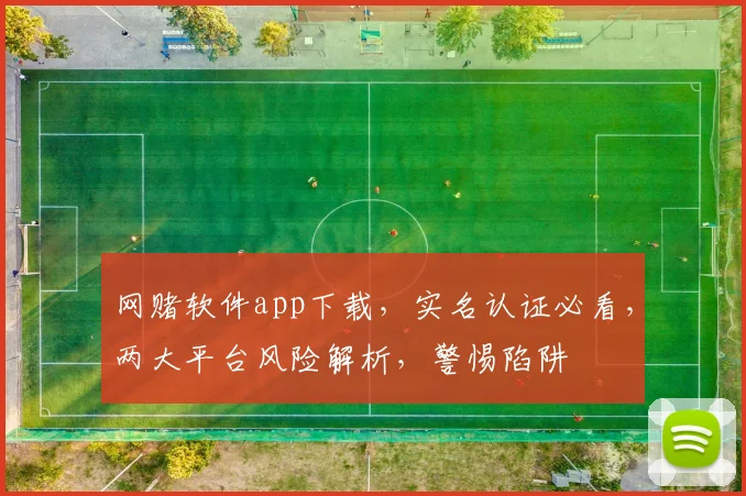 网赌软件app下载，实名认证必看，两大平台风险解析，警惕陷阱