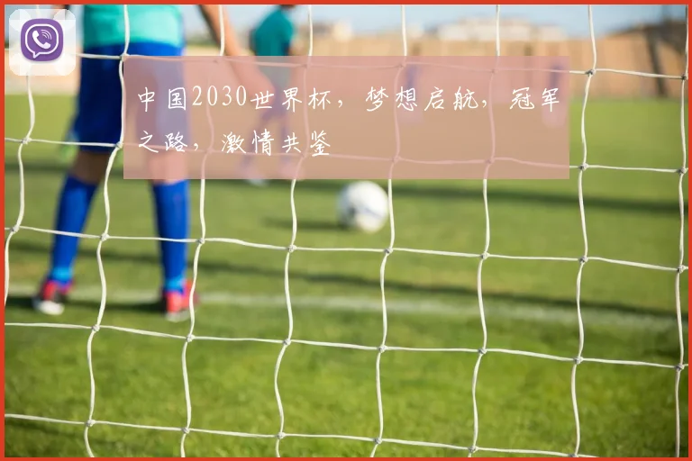 中国2030世界杯，梦想启航，冠军之路，激情共鉴