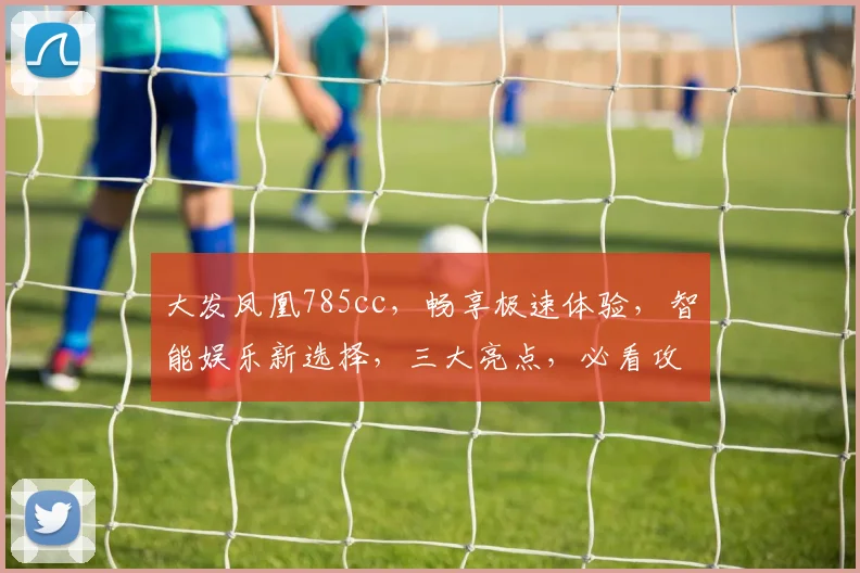 大发凤凰785cc，畅享极速体验，智能娱乐新选择，三大亮点，必看攻略，不容错过