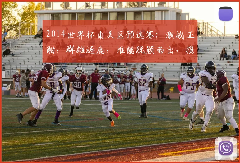 2014世界杯南美区预选赛：激战正酣，群雄逐鹿，谁能脱颖而出，携手晋级