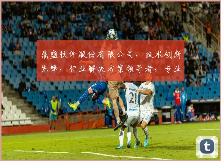鼎盛软件股份有限公司，技术创新先锋，行业解决方案领导者，专业服务，共创未来。