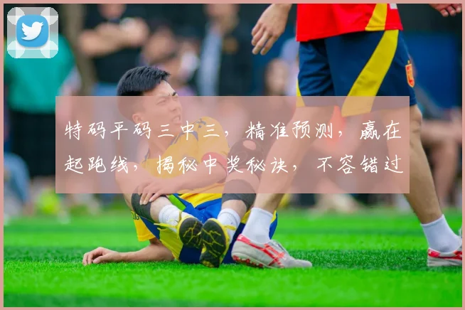特码平码三中三，精准预测，赢在起跑线，揭秘中奖秘诀，不容错过