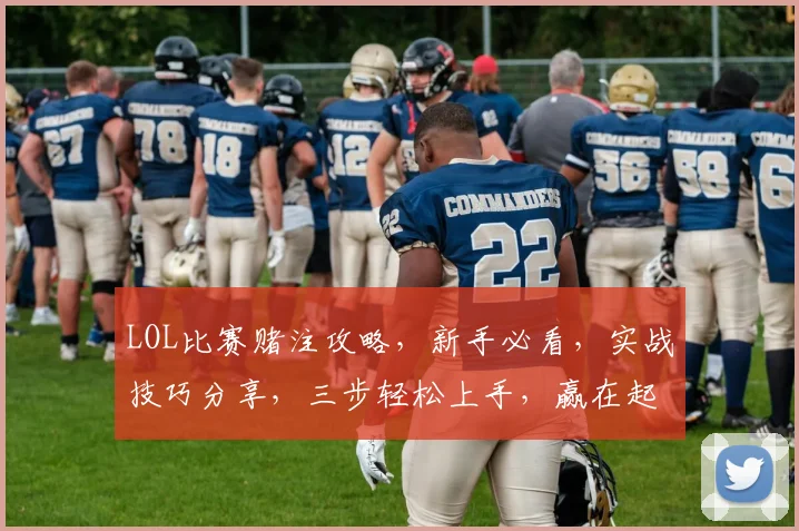 LOL比赛赌注攻略，新手必看，实战技巧分享，三步轻松上手，赢在起跑线
